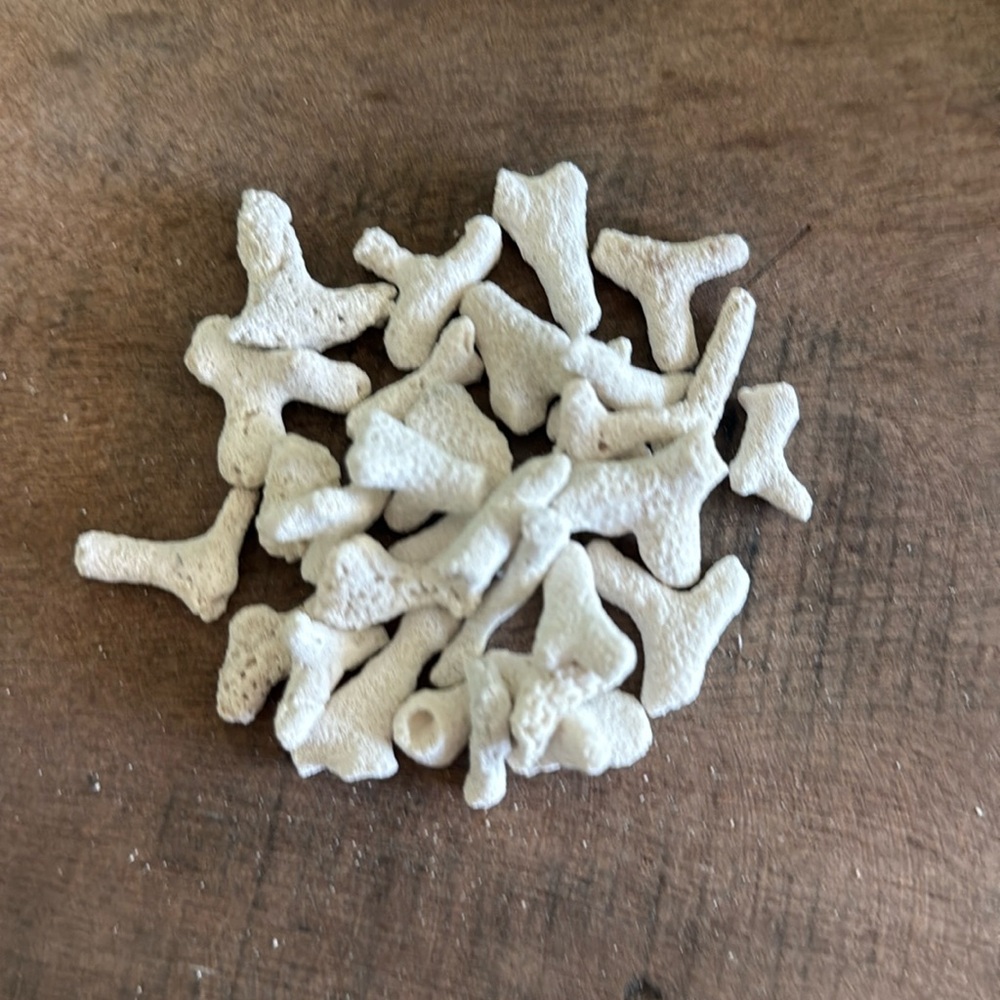 30 pieces of coral found on the Keys in Florida